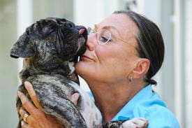 Critter Companionship Therapy