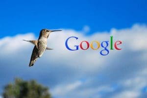 Google Hummingbird: Finding the Nectar in the New SEO Algorithm