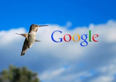 Google Hummingbird: Finding the Nectar in the New SEO Algorithm