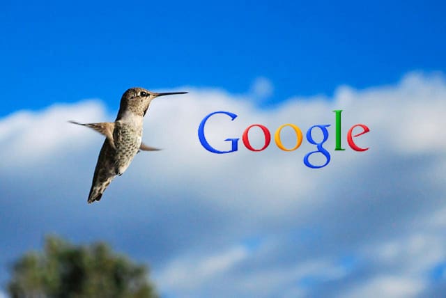 Google Hummingbird: Finding the Nectar in the New SEO Algorithm