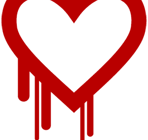 The Heartbleed Bug: What Senior Living Leaders Should Know and Do