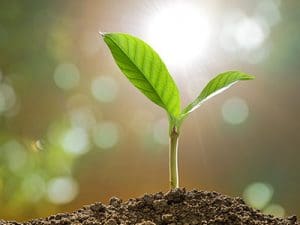5 Hot Senior Living Growth Strategies for 2018