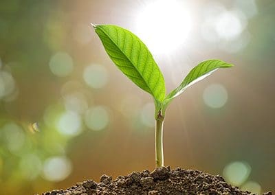 5 Hot Senior Living Growth Strategies for 2018