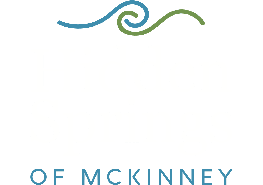 hs-logo-3