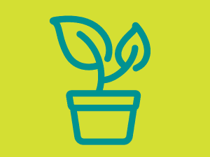 Growing Knowledge to Gain Leads Part 3: Nurture Your Leads
